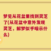 梦见从花盆里找到灵芝了(从花盆中意外发现灵芝，解梦似乎暗示什么)