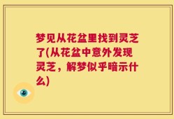 梦见从花盆里找到灵芝了(从花盆中意外发现灵芝，解梦似乎暗示什么)