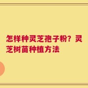 怎样种灵芝孢子粉？灵芝树苗种植方法