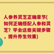 人参养灵芝正确章节(如何正确搭配人参和灵芝？学会这些关键步骤，提升养生效果)