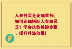 人参养灵芝正确章节(如何正确搭配人参和灵芝？学会这些关键步骤，提升养生效果)