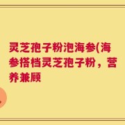 灵芝孢子粉泡海参(海参搭档灵芝孢子粉，营养兼顾