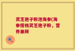 灵芝孢子粉泡海参(海参搭档灵芝孢子粉，营养兼顾