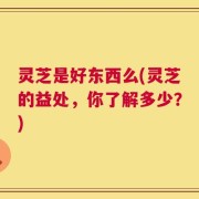 灵芝是好东西么(灵芝的益处，你了解多少？)