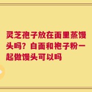 灵芝孢子放在面里蒸馒头吗？白面和袍子粉一起做馒头可以吗