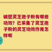 破壁灵芝孢子粉有哪些功效？已采集了灵芝孢子粉的灵芝功效作用怎样呢