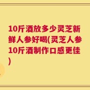 10斤酒放多少灵芝新鲜人参好喝(灵芝人参10斤酒制作口感更佳)