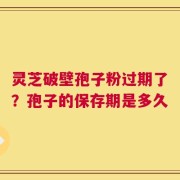 灵芝破壁孢子粉过期了？孢子的保存期是多久