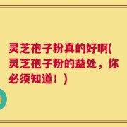 灵芝孢子粉真的好啊(灵芝孢子粉的益处，你必须知道！)