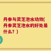 丹参与灵芝泡水功效(丹参灵芝泡水的好处是什么？)