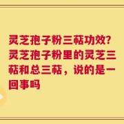 灵芝孢子粉三萜功效？灵芝孢子粉里的灵芝三萜和总三萜，说的是一回事吗