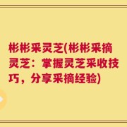彬彬采灵芝(彬彬采摘灵芝：掌握灵芝采收技巧，分享采摘经验)