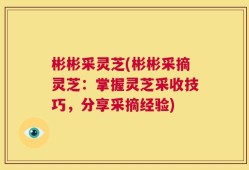 彬彬采灵芝(彬彬采摘灵芝：掌握灵芝采收技巧，分享采摘经验)