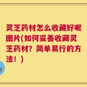 灵芝药材怎么收藏好呢图片(如何妥善收藏灵芝药材？简单易行的方法！)