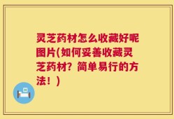 灵芝药材怎么收藏好呢图片(如何妥善收藏灵芝药材？简单易行的方法！)