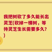 我把树砍了多久能长出灵芝(砍掉一棵树，等待灵芝生长需要多久？)
