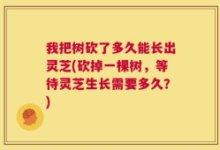 我把树砍了多久能长出灵芝(砍掉一棵树，等待灵芝生长需要多久？)