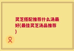 灵芝搭配推荐什么汤最好(最佳灵芝汤品推荐)