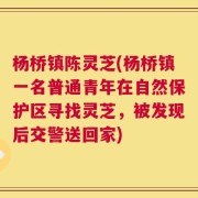 杨桥镇陈灵芝(杨桥镇一名普通青年在自然保护区寻找灵芝，被发现后交警送回家)