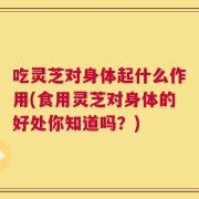 吃灵芝对身体起什么作用(食用灵芝对身体的好处你知道吗？)