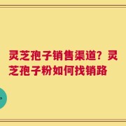 灵芝孢子销售渠道？灵芝孢子粉如何找销路