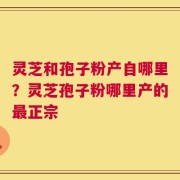 灵芝和孢子粉产自哪里？灵芝孢子粉哪里产的最正宗
