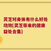 灵芝对身体有什么好处功效(灵芝带来的健康益处合集)