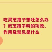 吃灵芝孢子想吐怎么办？灵芝孢子粉的功效、作用及禁忌是什么