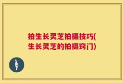 拍生长灵芝拍摄技巧(生长灵芝的拍摄窍门)