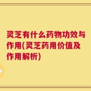 灵芝有什么药物功效与作用(灵芝药用价值及作用解析)