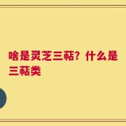 啥是灵芝三萜？什么是三萜类