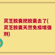 灵芝胶囊把胶囊去了(灵芝胶囊天然免疫增强剂)