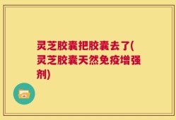灵芝胶囊把胶囊去了(灵芝胶囊天然免疫增强剂)