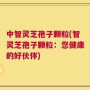 中智灵芝孢子颗粒(智灵芝孢子颗粒：您健康的好伙伴)