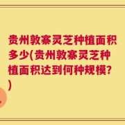 贵州敦寨灵芝种植面积多少(贵州敦寨灵芝种植面积达到何种规模？)