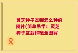 灵芝种子盆栽怎么种的图片(简单易学！灵芝种子盆栽种植全图解