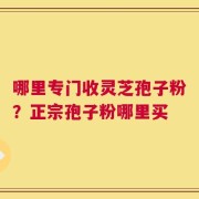 哪里专门收灵芝孢子粉？正宗孢子粉哪里买