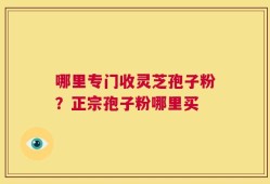哪里专门收灵芝孢子粉？正宗孢子粉哪里买