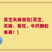 灵芝天麻菊花(灵芝、天麻、菊花，中药颗粒来袭！)