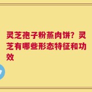 灵芝孢子粉蒸肉饼？灵芝有哪些形态特征和功效