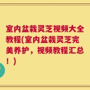 室内盆栽灵芝视频大全教程(室内盆栽灵芝完美养护，视频教程汇总！)