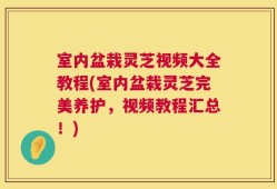 室内盆栽灵芝视频大全教程(室内盆栽灵芝完美养护，视频教程汇总！)