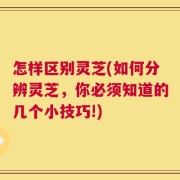 怎样区别灵芝(如何分辨灵芝，你必须知道的几个小技巧!)