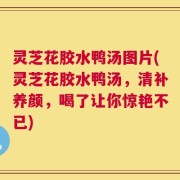 灵芝花胶水鸭汤图片(灵芝花胶水鸭汤，清补养颜，喝了让你惊艳不已)