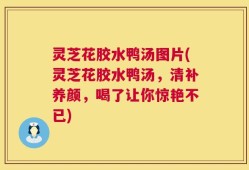 灵芝花胶水鸭汤图片(灵芝花胶水鸭汤，清补养颜，喝了让你惊艳不已)