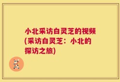 小北采访白灵芝的视频(采访白灵芝：小北的探访之旅)