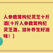 人参鹿茸枸杞灵芝十斤酒(十斤人参鹿茸枸杞灵芝酒，滋补养生好滋味！)