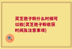 灵芝孢子粉什么时候可以收(灵芝孢子粉收获时间及注意事项)