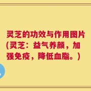 灵芝的功效与作用图片(灵芝：益气养颜，加强免疫，降低血脂。)