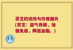 灵芝的功效与作用图片(灵芝：益气养颜，加强免疫，降低血脂。)